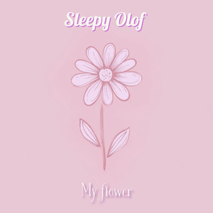 董卿被躁120分钟
