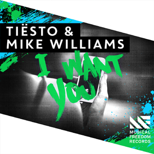 董卿被躁120分钟
