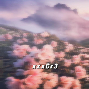 董卿被躁120分钟
