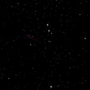 董卿被躁120分钟
