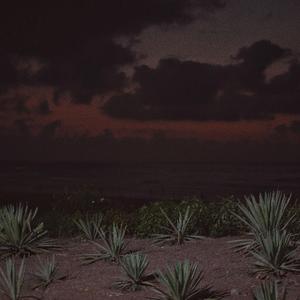 董卿被躁120分钟
