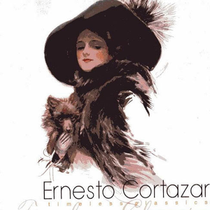 董卿被躁120分钟
